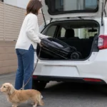 折りたたんだペットカートを車へ積む様子