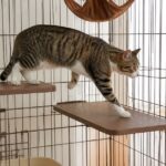 猫ケージの追加棚板を確認する様子
