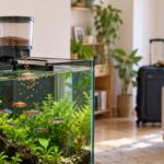 水槽上の自動給餌器から魚の餌が落ちる様子