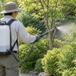 背負い式充電噴霧器で庭木へ散布する作業者
