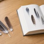 木の机で複数の鳥の羽根を開いた図鑑と見比べている様子