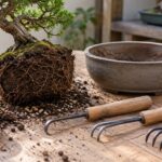 鉢から出した盆栽の根鉢と爪数の異なる根かきが並ぶ様子