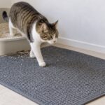 猫用トイレから大判の砂取りマットへ歩く猫と散らばった猫砂