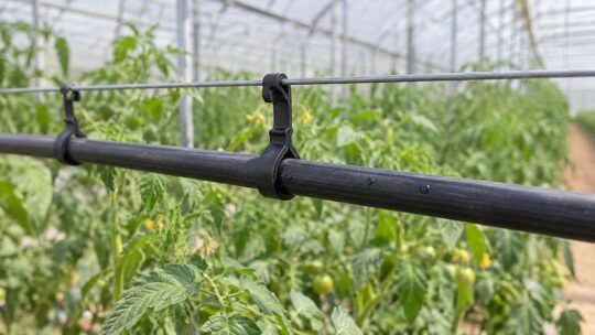 点滴灌水チューブの吊り下げクリップ比較｜外径と吊り線径別のおすすめ