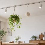 天井の照明レールから観葉植物と装飾を吊り下げた室内の様子