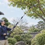 庭木の高い枝を伸縮式の電動チェーンソーで剪定する様子