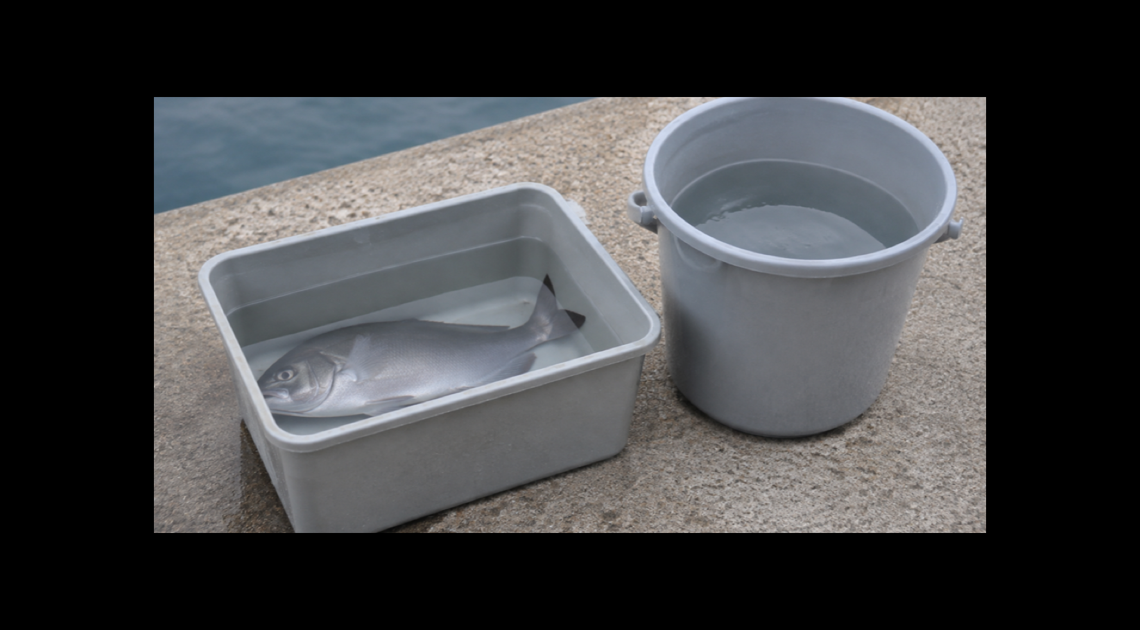 釣りの血抜きバケツおすすめ6選|魚の長さ・深さ・容量で比較