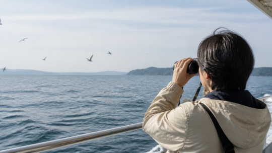 船上の野鳥観察にFUJINON TS-X 1440｜防振・防水・電池を比較