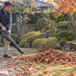 秋の庭で充電式ブロワーを使って落ち葉を集める様子