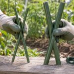 太さの異なる園芸支柱と固定具を菜園で比べている様子