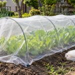 白い防虫ネットで覆われた家庭菜園の野菜畝と交換用ネット
