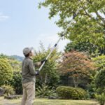 庭木の高い枝に地上から高枝のこぎりを伸ばす作業者