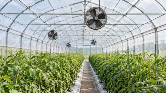 ビニールハウス循環扇おすすめ5選｜羽根径・風量・電源・ハウス幅で比較