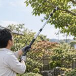 高枝切りばさみで庭木の枝を剪定する人