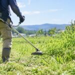 草地で刈払機を使って草刈りをしている様子