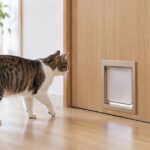 室内ドア下部のペット用扉へ近づく猫