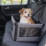 後部座席のペット用ドライブボックスに座る犬