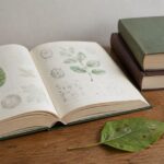 病斑のある葉とルーペを植物図鑑の横に置いた学習風景