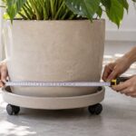 植木鉢の底とキャスター付き受け皿の幅を測っている様子