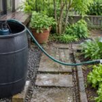 雨水タンクの水をポンプとホースで家庭菜園へ送っている様子