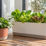 小型の観葉植物と葉物野菜を植えた大小の底面給水プランター