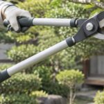 庭木の太枝を両手用ロッパーで切っている様子