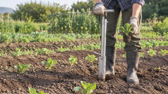 野菜苗の植え付け器おすすめ6選｜苗径・深さ・全長で比較