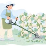 刈払機の金属刃でつる草を刈る様子をイメージしたイラスト