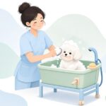 シャンプーブラシで犬を洗うトリマーの様子をイメージしたイラスト