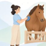 カリーコームで馬の手入れをするグルーマーの様子をイメージしたイラスト