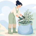 剪定枝をコンテナバッグに集める様子をイメージしたイラスト