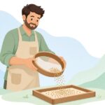 ふるいで種子を選別する採種農家の様子をイメージしたイラスト